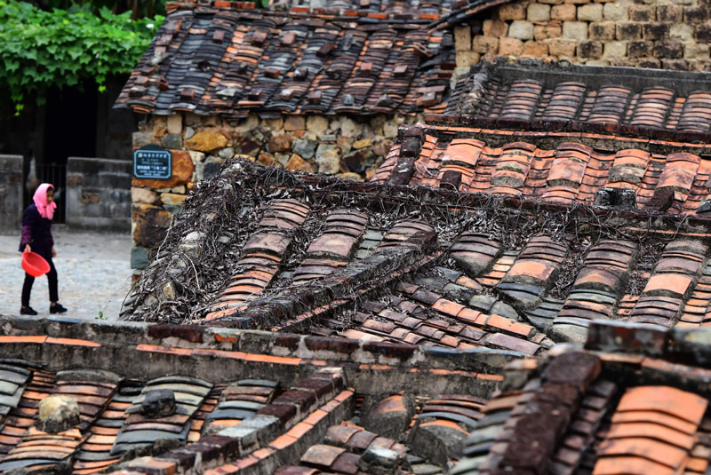 Colorful Zhangjiao Village --Stone house in Quanzhou, Fujian